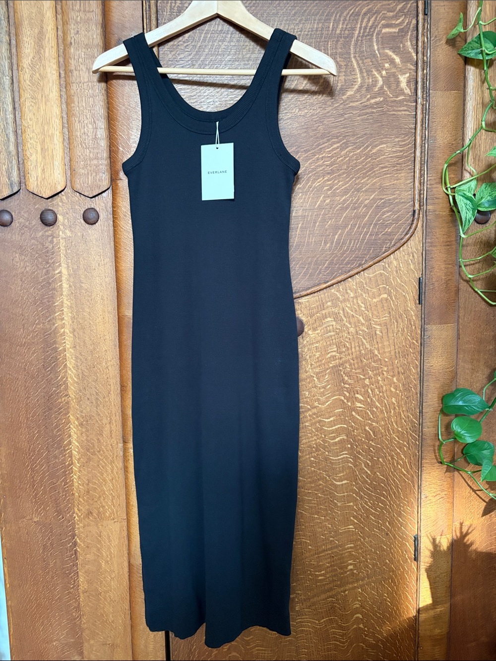Everlane Black Sleeveless Tank Dress